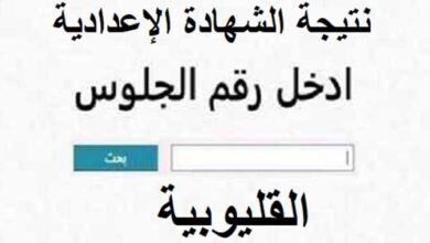 نتيجة الشهادة الإعدادية 2026 الدور الثاني محافظة القليوبية.. الموعد ورابط الاستعلام برقم الجلوس