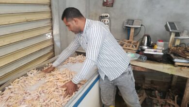 قبل طرحها بالأسواق.. صحة القليوبية تضبط طن دواجن مجهولة المصدر
