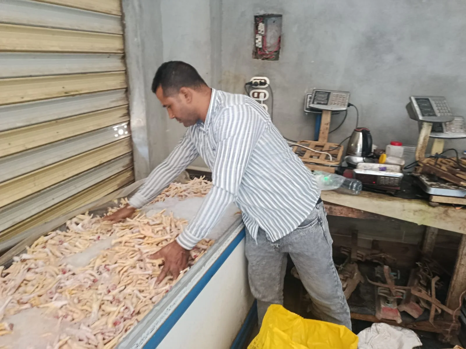 قبل طرحها بالأسواق.. صحة القليوبية تضبط طن دواجن مجهولة المصدر قبل طرحها بالأسواق.. صحة القليوبية تضبط طن دواجن مجهولة المصدر