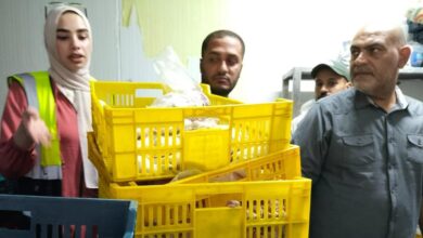 ضبط طن ونصف دواجن وأجزائها غير الصالحة للاستهلاك بمركز قليوب