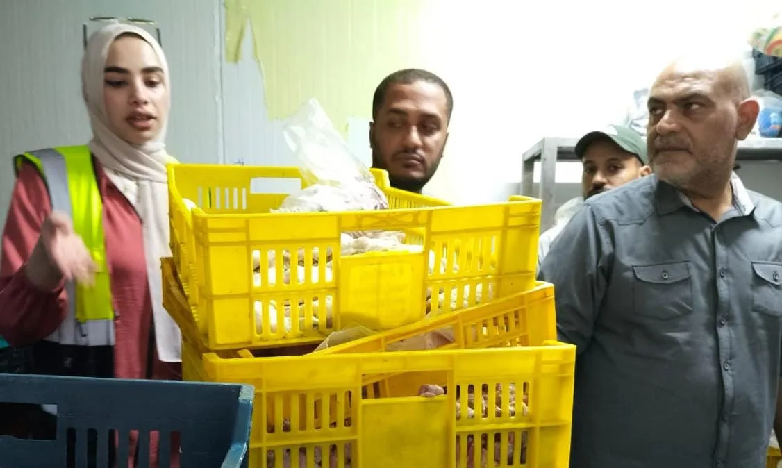 ضبط طن ونصف دواجن وأجزائها غير الصالحة للاستهلاك بمركز قليوب ضبط طن ونصف دواجن وأجزائها غير الصالحة للاستهلاك بمركز قليوب