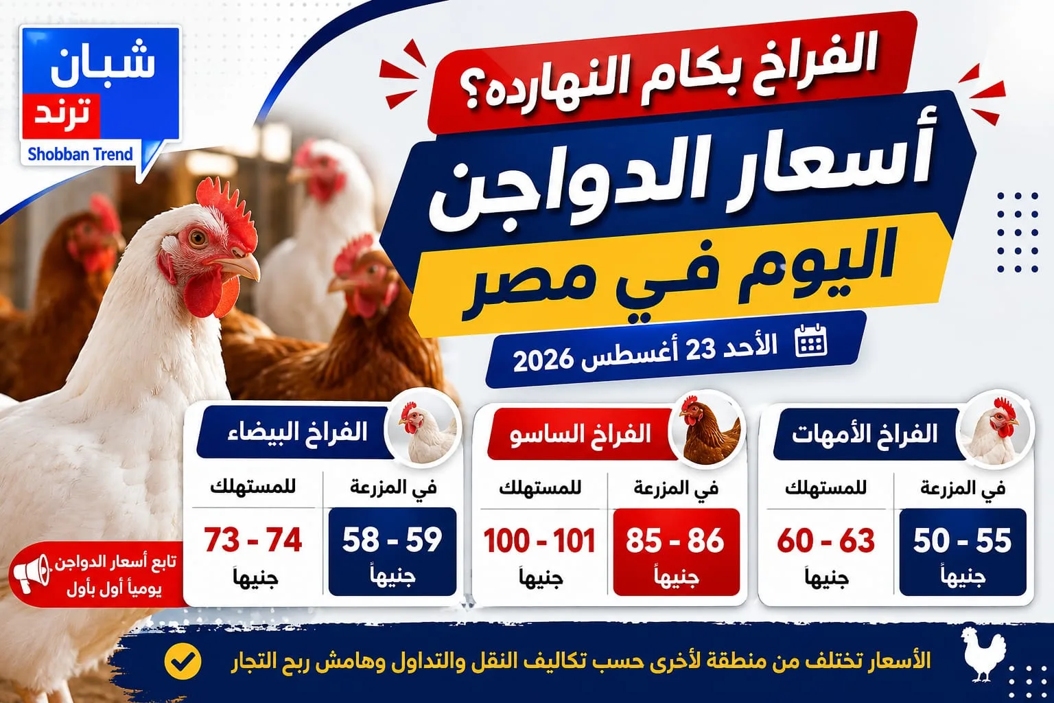 تحرك جديد في السوق والبيضاء تسجل هذا السعر....