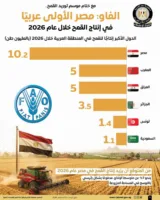 مصر تتربع على عرش القمح عربيًا.. 10.2 ملايين طن إنتاج متوقع في 2026