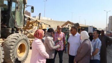 تطوير محوري أحمد عرابي وبهتيم.. محافظ القليوبية يتابع أعمال الرصف ويُوجّه برفع كفاءة الطريق الدائري