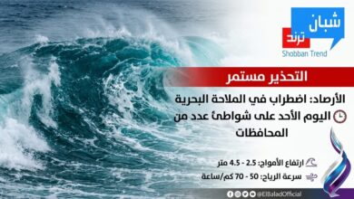 التحذير مستمر.. الأرصاد: اضطراب في الملاحة البحرية اليوم الأحد على شواطئ عدد من المحافظات