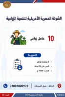 «فرصتك لسه موجودة».. 2594 وظيفة جديدة للشباب في 10 محافظات بالتعاون مع 38 شركة خاصة
