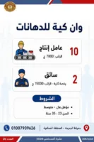 «فرصتك لسه موجودة».. 2594 وظيفة جديدة للشباب في 10 محافظات بالتعاون مع 38 شركة خاصة