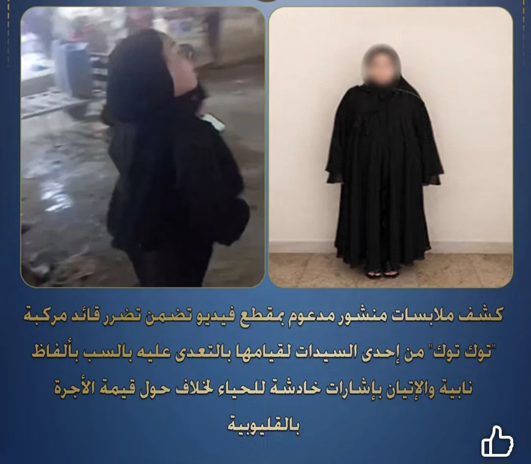 خلاف على الأجرة.. ضبط سيدة بعد اتهامها بسب قائد «توك توك» والإتيان بإشارات خادشة للحياء بالقليوبية