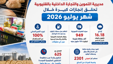 بالأرقام.. تموين القليوبية يعلن حصاد يوليو 2026: 16.18 مليون رغيف مدعم و2301 محضر تمويني