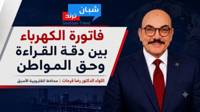 فاتورة الكهرباء بين دقة القراءة وحق المواطن فاتورة الكهرباء بين دقة القراءة وحق المواطن