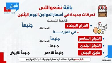 أسعار الدواجن اليوم الإثنين 7 سبتمبر 2026.. استقرار نسبي والفراخ البيضاء في المقدمة