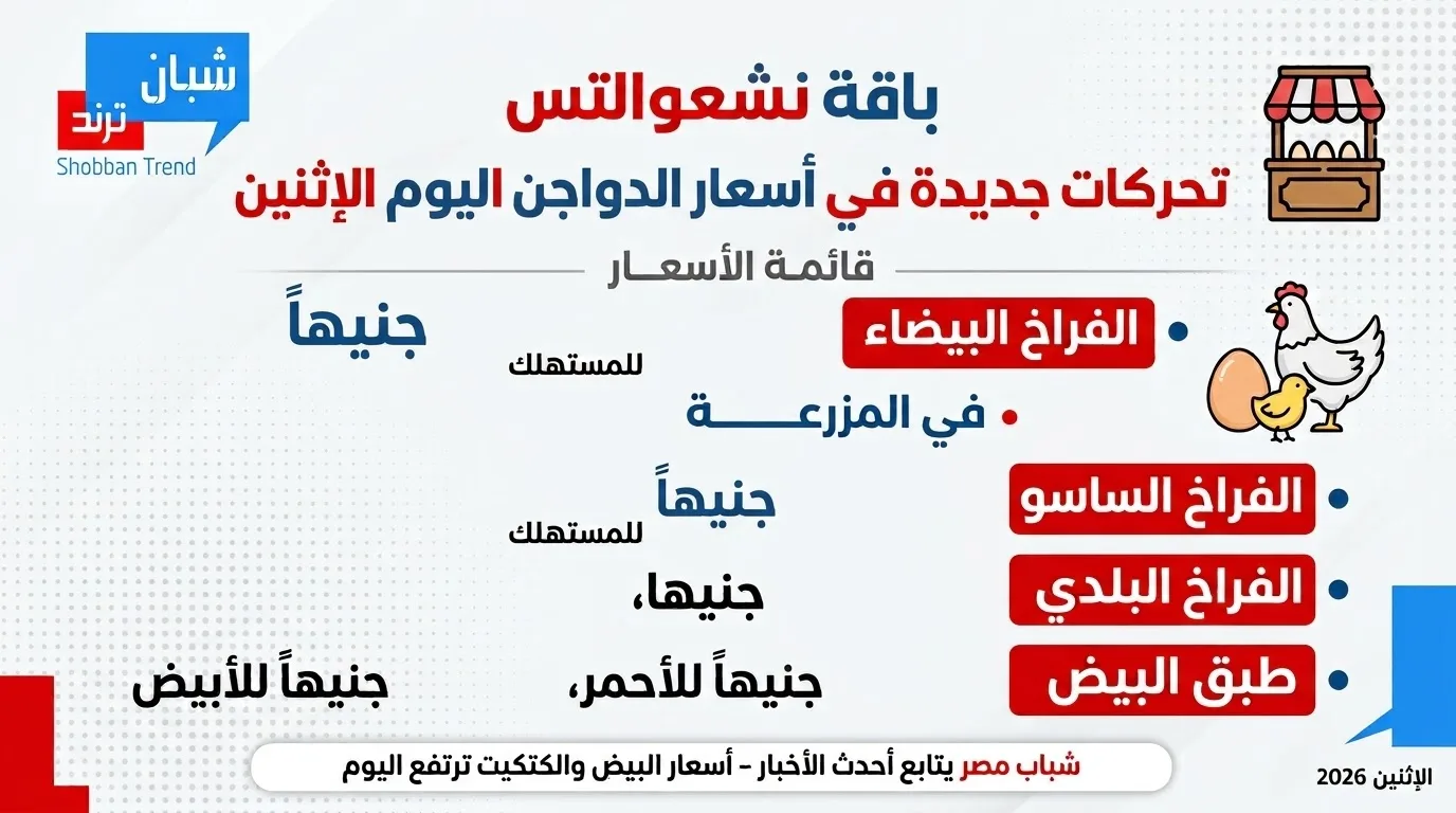 أسعار الدواجن اليوم الإثنين 7 سبتمبر 2026.. استقرار نسبي والفراخ البيضاء في المقدمة