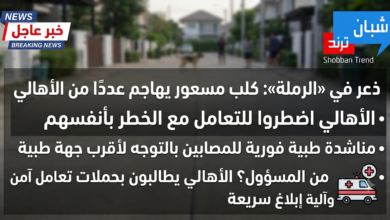  كلب مسعور يثير الذعر في «الرملة».. إصابة عدد من الأهالي وسط مطالبات بسرعة التحرك