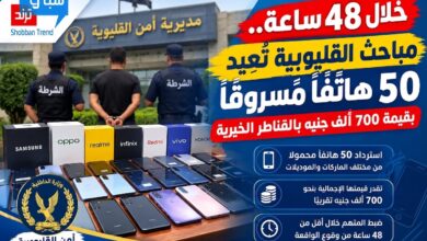 خلال 48 ساعة.. مباحث القليوبية تعيد 50 هاتفًا مسروقًا بقيمة 700 ألف جنيه بالقناطر الخيرية