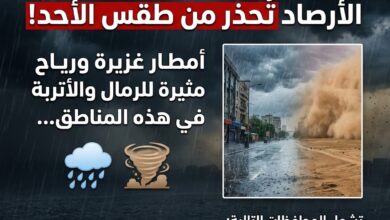 الأرصاد تحذر من طقس الأحد.. أمطار غزيرة ورياح مثيرة للرمال والأتربة بهذه المناطق
