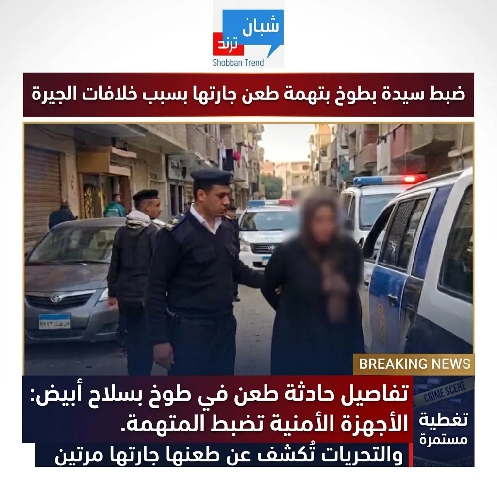 ضبط سيدة بتهمة طعن أخرى مرتين بسلاح أبيض بسبب خلافات الجيرة في طوخ ضبط سيدة بتهمة طعن أخرى مرتين بسلاح أبيض بسبب خلافات الجيرة في طوخ