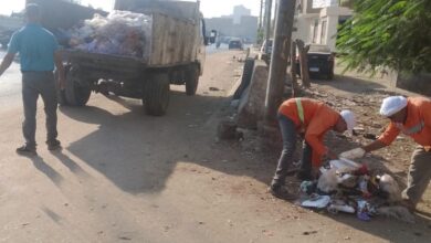 طوخ تستعيد بريقها.. حملات مكثفة لرفع المخلفات وتحسين المظهر الحضاري