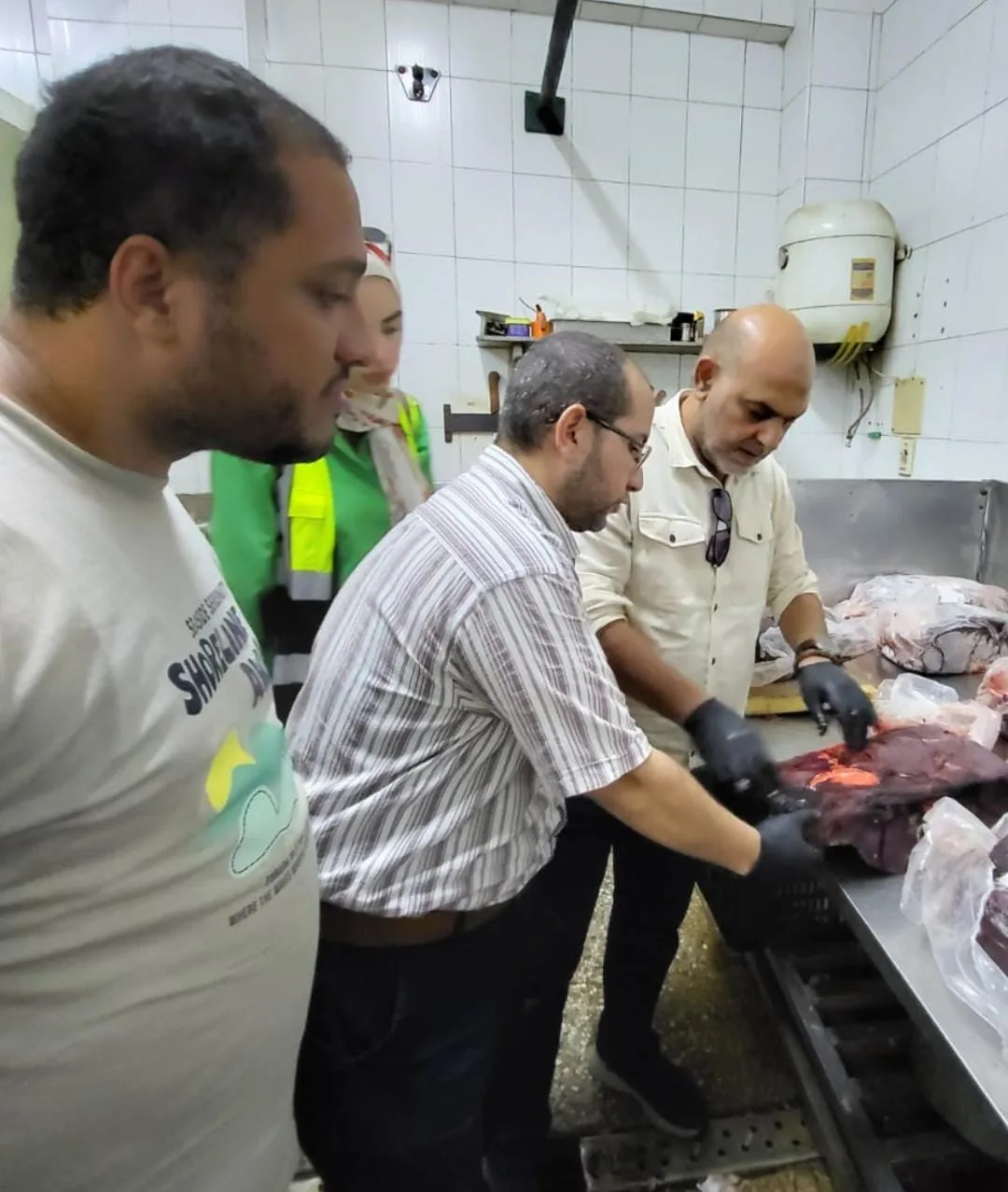 ضربة جديدة لتجار اللحوم المخالفة.. ضبط 780 كيلو في شبرا الخيمة ضربة جديدة لتجار اللحوم المخالفة.. ضبط 780 كيلو في شبرا الخيمة