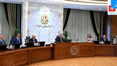 الوزراء» يقر 11 قرارًا لدعم الأمن الغذائي والتحول الرقمي والاستثمار والرعاية الصحية