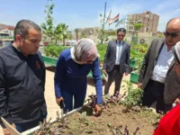 الشبان تنفذ توجيهات الرئيس السيسي.. مدرسة خضراء تتصدر الجمهورية