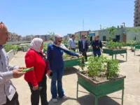 الشبان تنفذ توجيهات الرئيس السيسي.. مدرسة خضراء تتصدر الجمهورية