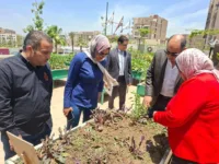 الشبان تنفذ توجيهات الرئيس السيسي.. مدرسة خضراء تتصدر الجمهورية