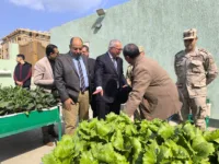 الشبان تنفذ توجيهات الرئيس السيسي.. مدرسة خضراء تتصدر الجمهورية