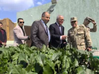 الشبان تنفذ توجيهات الرئيس السيسي.. مدرسة خضراء تتصدر الجمهورية