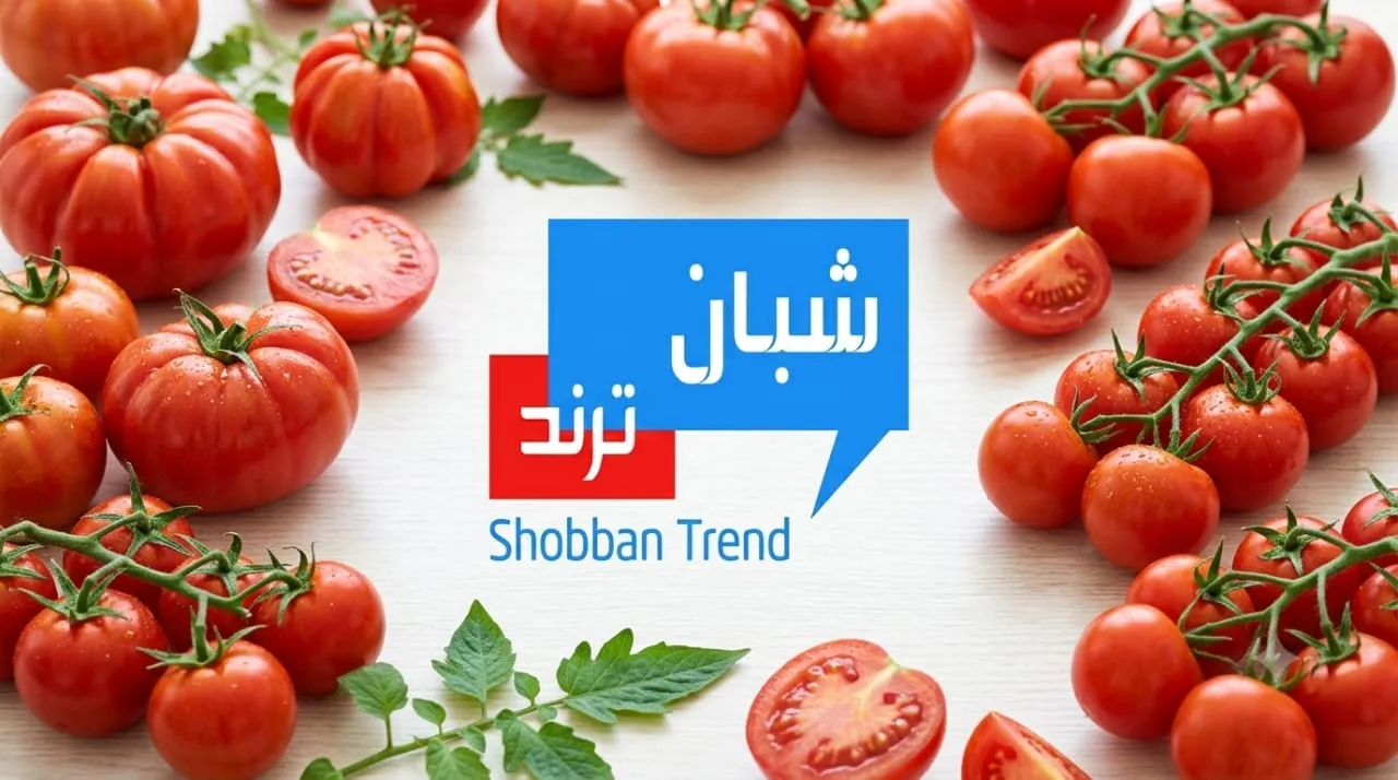 جنون الطمام ...نقيب الفلاحيين يوجه رسالة هامه للمواطنيين بشأن الطماطم جنون الطمام ...نقيب الفلاحيين يوجه رسالة هامه للمواطنيين بشأن الطماطم