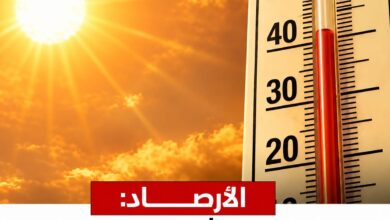 الأرصاد: اليوم طقس شديد الحرارة رطب نهارًا.. والعظمى بالقاهرة 37 درجة