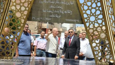 محافظ القليوبية يوجه بتعميم مبادرة تجميل وتشجير ميادين ومداخل المدن بعد تفقد تطوير مدخل كفر شكر