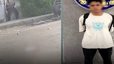 «فيديو على السوشيال ميديا يكشف الواقعة».. ضبط طالب بالقليوبية بعد تتبعه مهندسة وارتكابه أفعالًا منافية للآداب