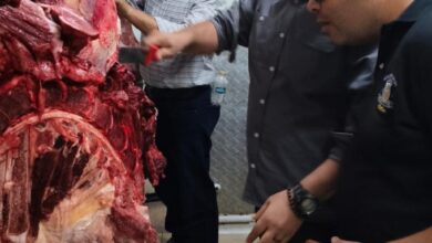 شنت مديرية الطب البيطري بالقليوبية حملة مكبرة.. ضبط 150 كجم لحوم غير صالحة بالعبور شنت مديرية الطب البيطري بالقليوبية حملة مكبرة.. ضبط 150 كجم لحوم غير صالحة بالعبور