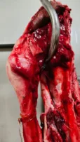 شنت مديرية الطب البيطري بالقليوبية حملة مكبرة.. ضبط 150 كجم لحوم غير صالحة بالعبور