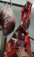 شنت مديرية الطب البيطري بالقليوبية حملة مكبرة.. ضبط 150 كجم لحوم غير صالحة بالعبور