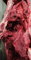 شنت مديرية الطب البيطري بالقليوبية حملة مكبرة.. ضبط 150 كجم لحوم غير صالحة بالعبور