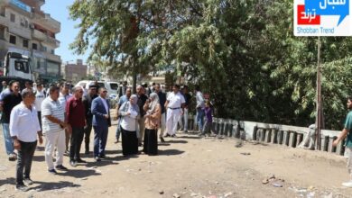 محافظ القليوبية يتفقد كوبري ترعة الشرقاوية بشبين القناطر ويوجه بسرعة فحصه وتأمين حركة المواطنين محافظ القليوبية يتفقد كوبري ترعة الشرقاوية بشبين القناطر ويوجه بسرعة فحصه وتأمين حركة المواطنين