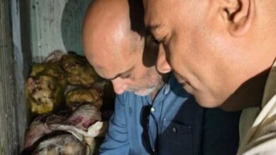 ضبط 20 طن لحوم في حملة مكبرة بالخصوص.. بينها لحوم فاسدة وأخرى مذبوحة خارج المجازر
