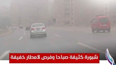 الأرصاد تحذر: شبورة كثيفة صباحاً وفرص لسقوط أمطار خفيفة بعدد من المحافظات