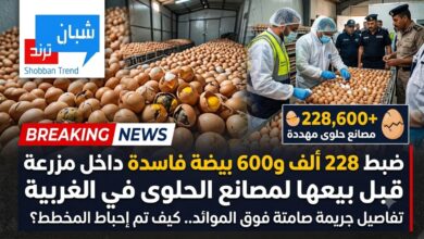 ضبط   228الف بيضة فاسدة ..احباط محاولة للغش التجاري وانقاذ ملايين المواطنيين تعرف علي التفاصيل
