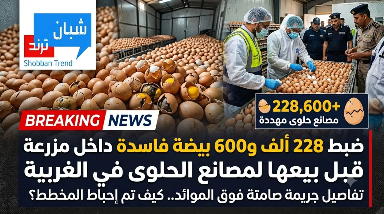ضبط 228الف بيضة فاسدة ..احباط محاولة للغش التجاري وانقاذ ملايين المواطنيين تعرف علي التفاصيل ضبط 228الف بيضة فاسدة ..احباط محاولة للغش التجاري وانقاذ ملايين المواطنيين تعرف علي التفاصيل
