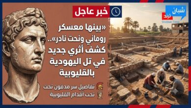 سر مدفون تحت أقدام «تل اليهودية».. كشف حفريات يفتح فصلًا غامضًا من تاريخ مصر القديم