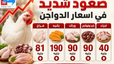 صعود ملحوظ في أسعار الدواجن.. والفراخ تواصل ارتفاعها بالأسواق صعود ملحوظ في أسعار الدواجن.. والفراخ تواصل ارتفاعها بالأسواق