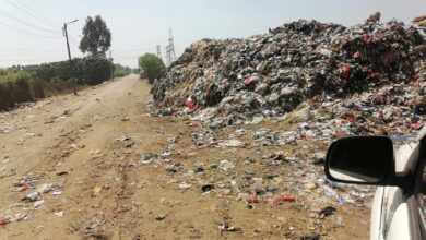 رفع 10 آلاف طن مخلفات في 14 يومًا.. كفر شكر تبدأ تحويل أكبر بؤرة قمامة إلى متنزه أخضر رفع 10 آلاف طن مخلفات في 14 يومًا.. كفر شكر تبدأ تحويل أكبر بؤرة قمامة إلى متنزه أخضر