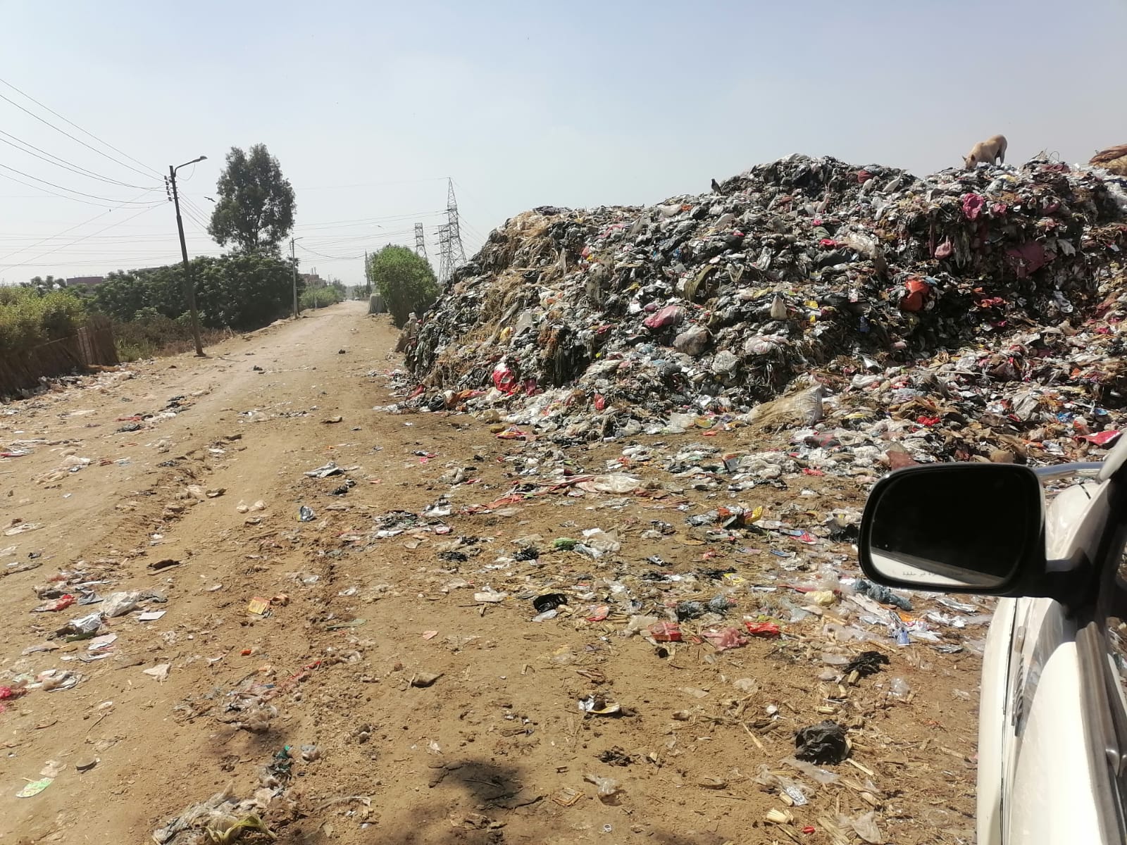 رفع 10 آلاف طن مخلفات في 14 يومًا.. كفر شكر تبدأ تحويل أكبر بؤرة قمامة إلى متنزه أخضر رفع 10 آلاف طن مخلفات في 14 يومًا.. كفر شكر تبدأ تحويل أكبر بؤرة قمامة إلى متنزه أخضر