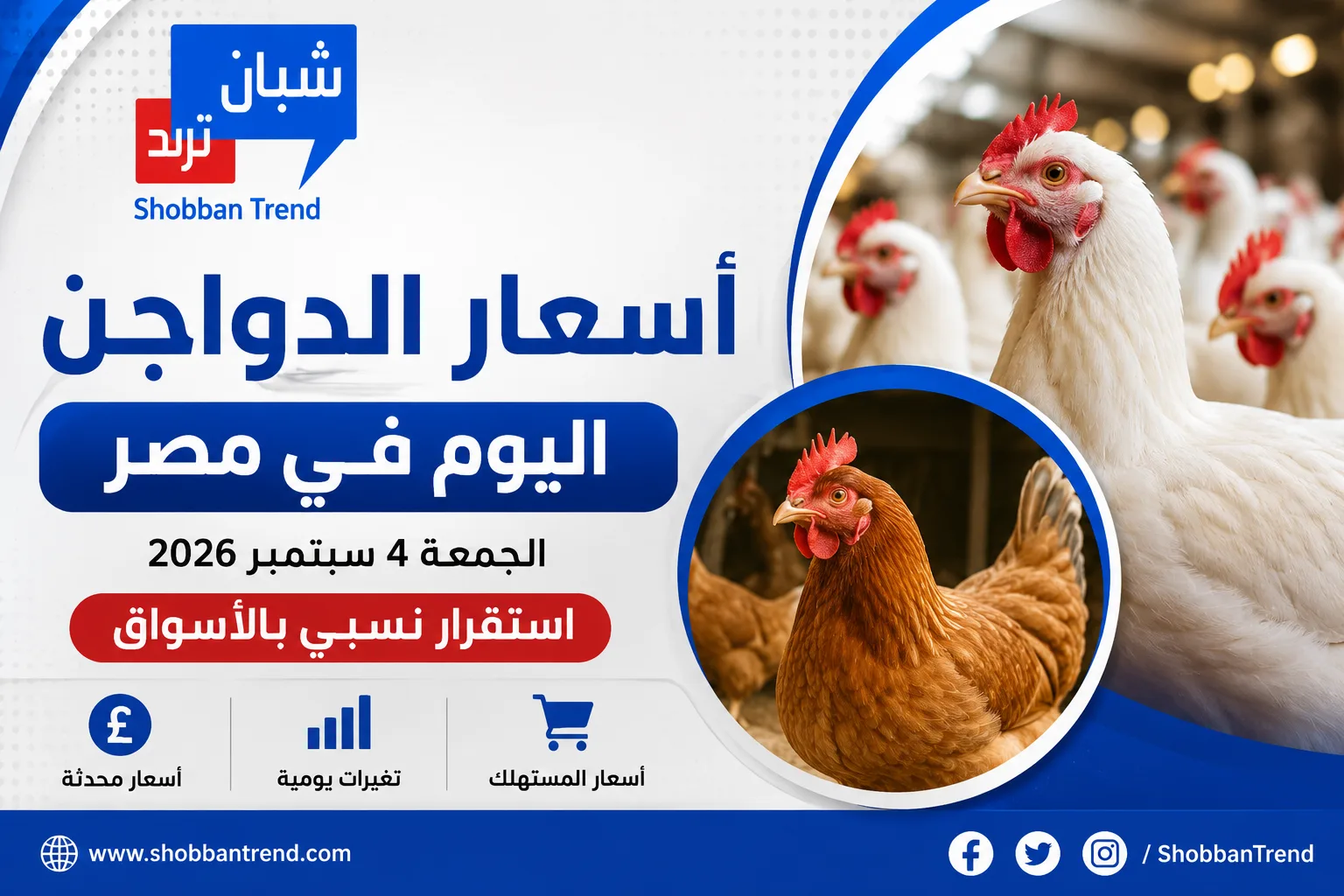 أسعار الدواجن اليوم الجمعة 4 سبتمبر 2026.. استقرار نسبي بالأسواق أسعار الدواجن اليوم الجمعة 4 سبتمبر 2026.. استقرار نسبي بالأسواق