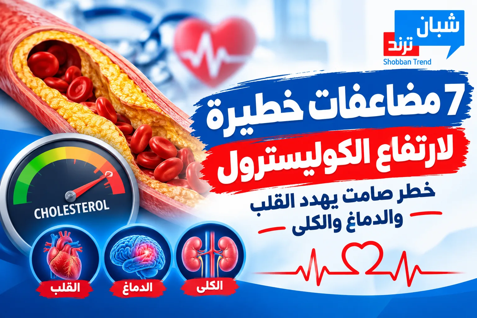 7مضاعفات خطيرة لارتفاع الكوليسترول.. خطر صامت يهدد القلب والدماغ والكلى 7مضاعفات خطيرة لارتفاع الكوليسترول.. خطر صامت يهدد القلب والدماغ والكلى
