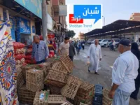 رئيس مدينة طوخ يقود حملة مكبرة لإعادة الانضباط لشوارع طوخ ورفع الإشغالات