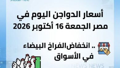 أسعار الدواجن اليوم في مصر الجمعة 16 أكتوبر 2026.. انخفاض الفراخ البيضاء في الأسواق