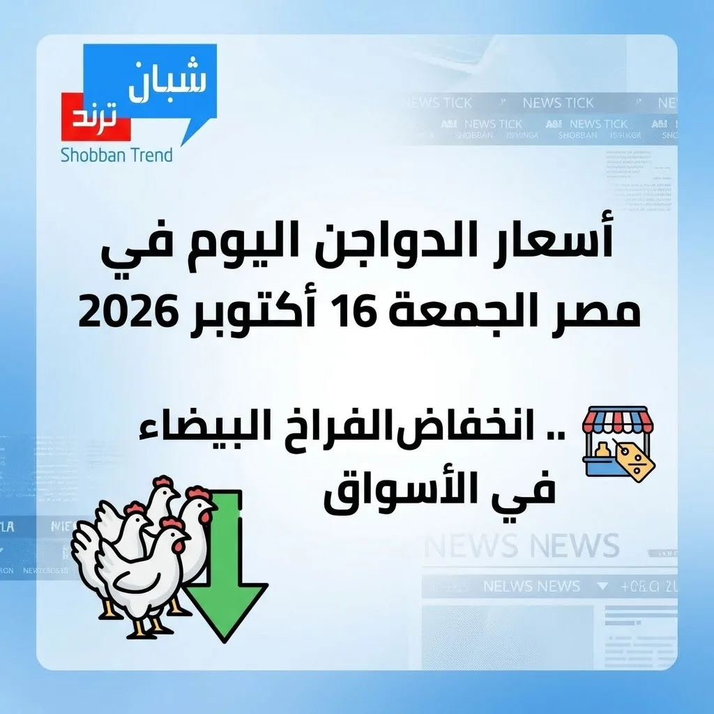 أسعار الدواجن اليوم في مصر الجمعة 16 أكتوبر 2026.. انخفاض الفراخ البيضاء في الأسواق